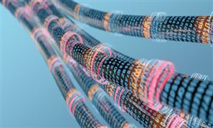 VR体育健康行kaiyun开云官网业现状与未来发展趋势分析2024年(图7)