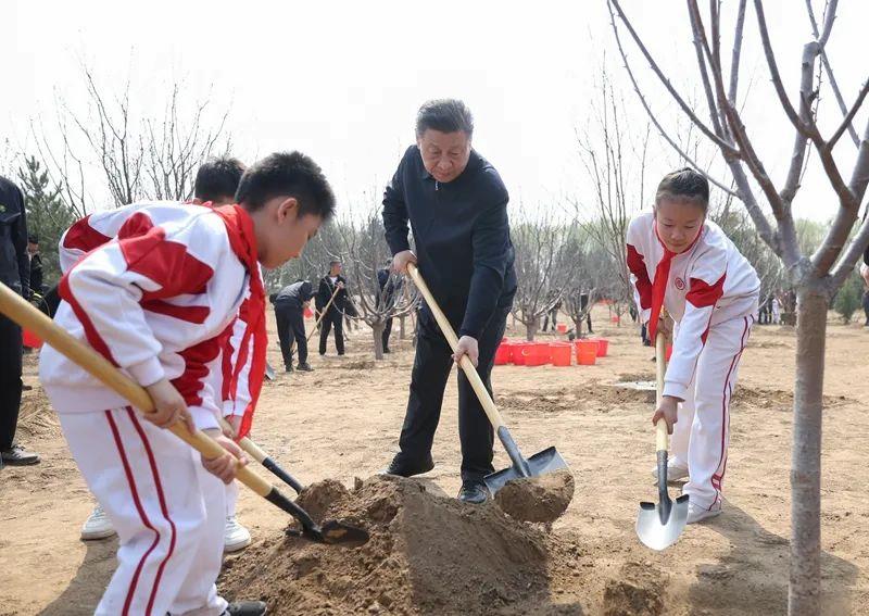 习牵挂在心的三件“小”事kaiyun中国平台(图6)