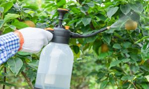 kaiyun开云·官方网站VRAR行业市场分析 IDC：2024年AR出货增速预计达101%(图6)