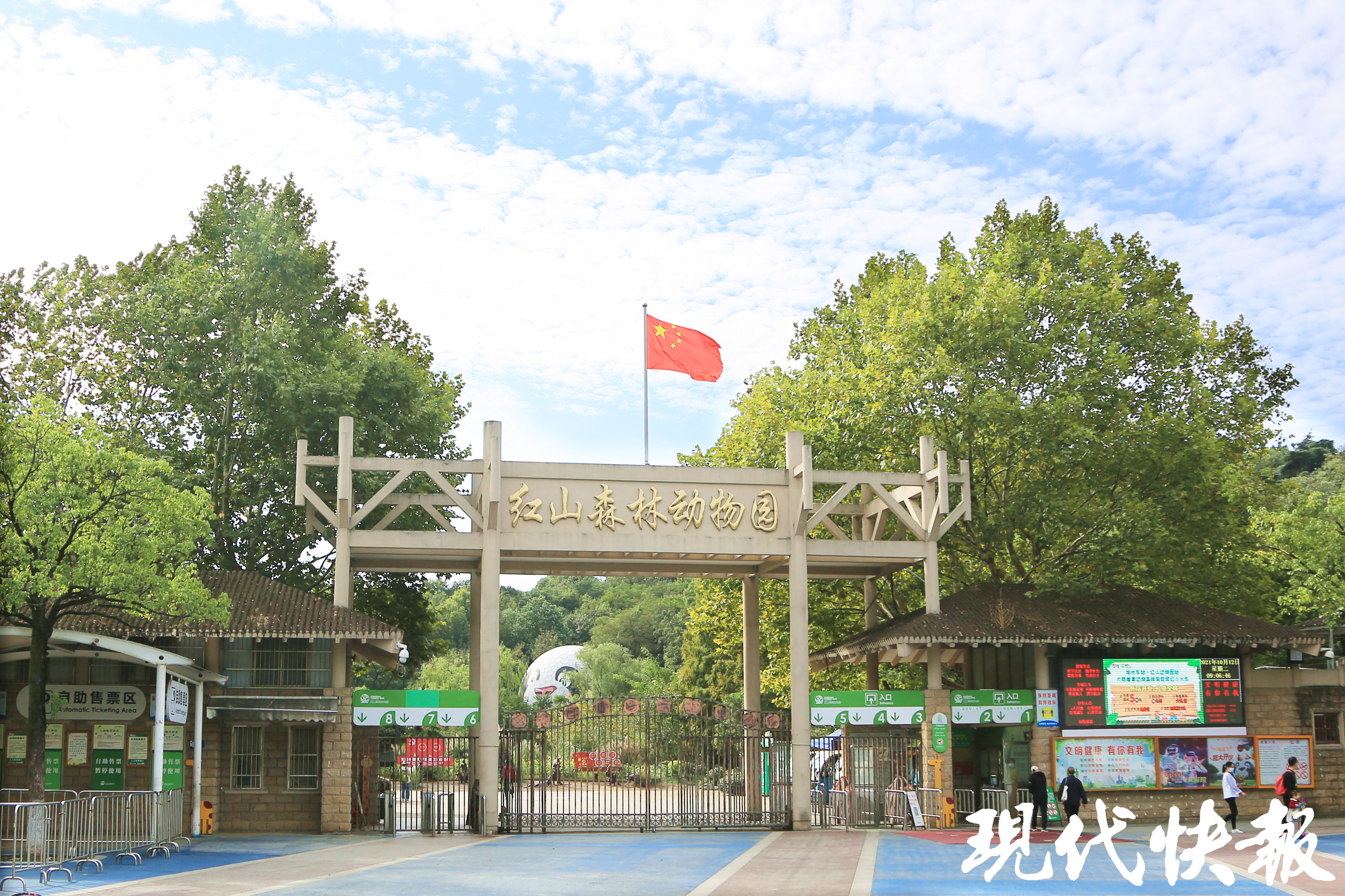 国庆假期去哪玩？来南京玄武“去班味”(图4)
